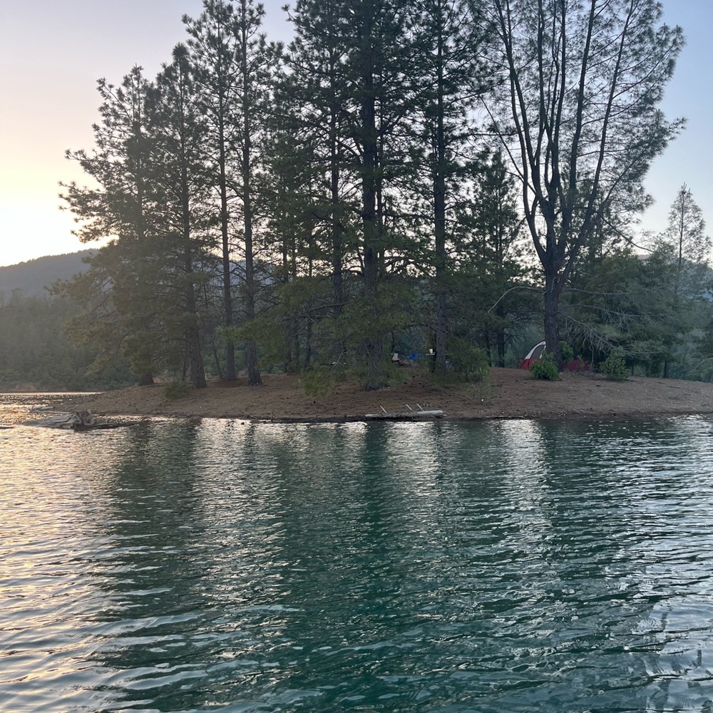 Meet your Posher, Shelby